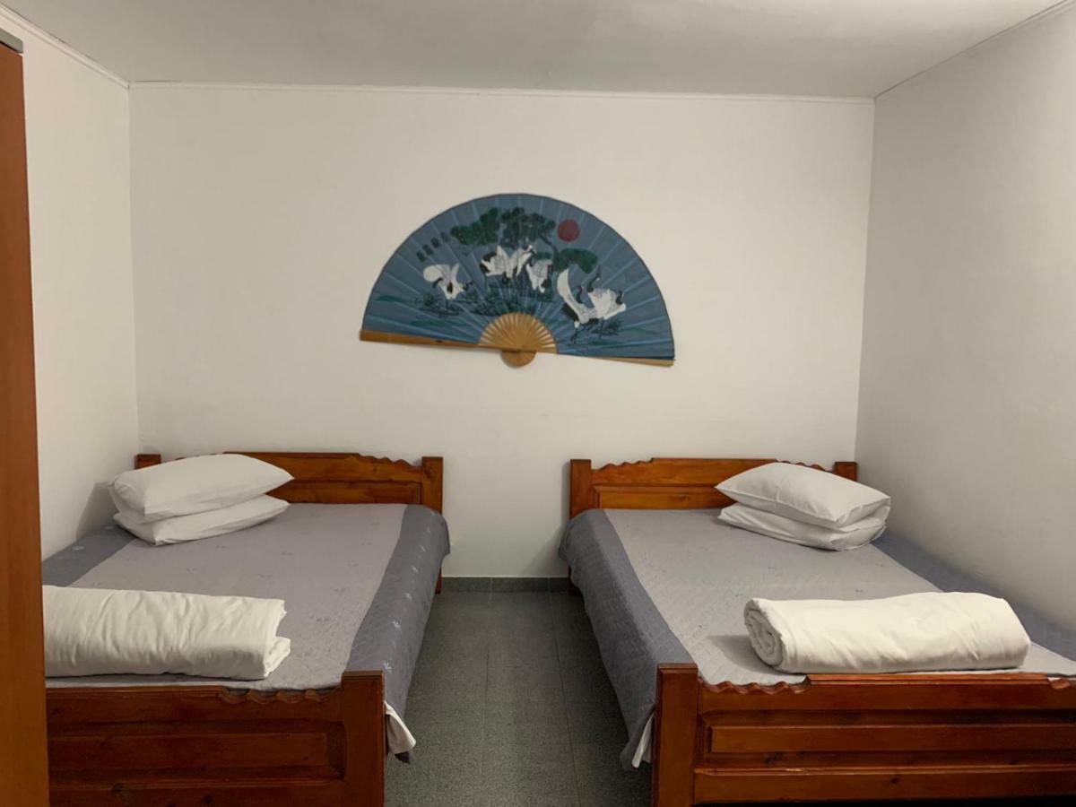 Hotel Casa Ghemus Costinesti Extérieur photo